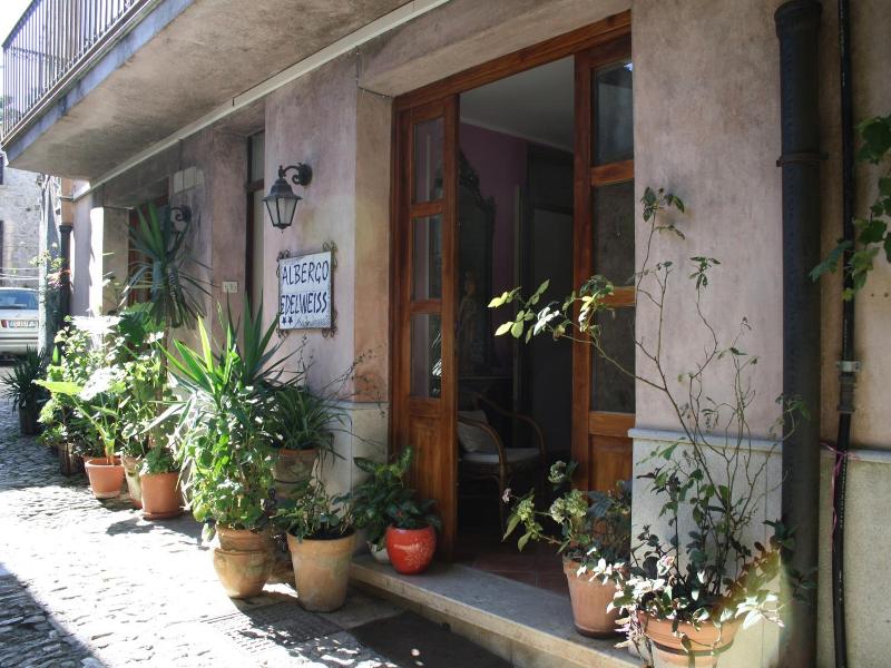 Hotel Edelweiss - Genel