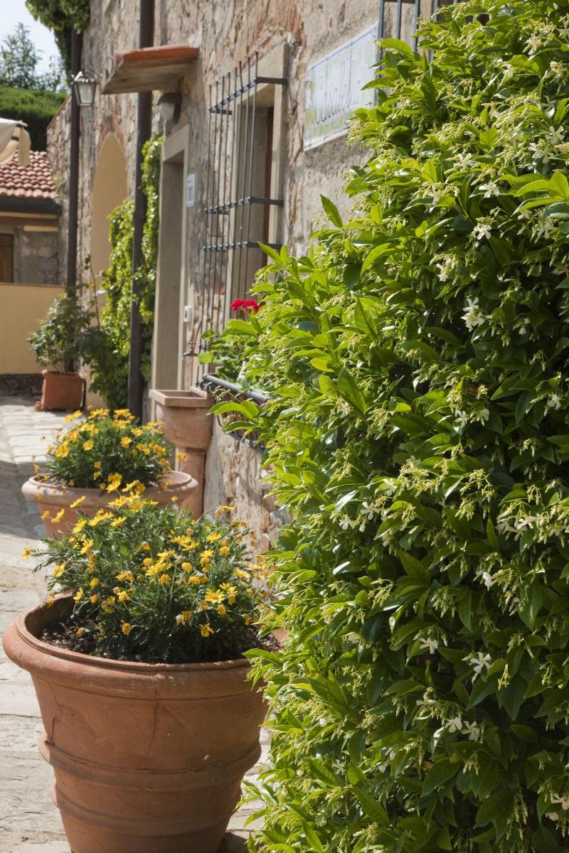 Agriturismo Fattoria Lavacchio - Genel