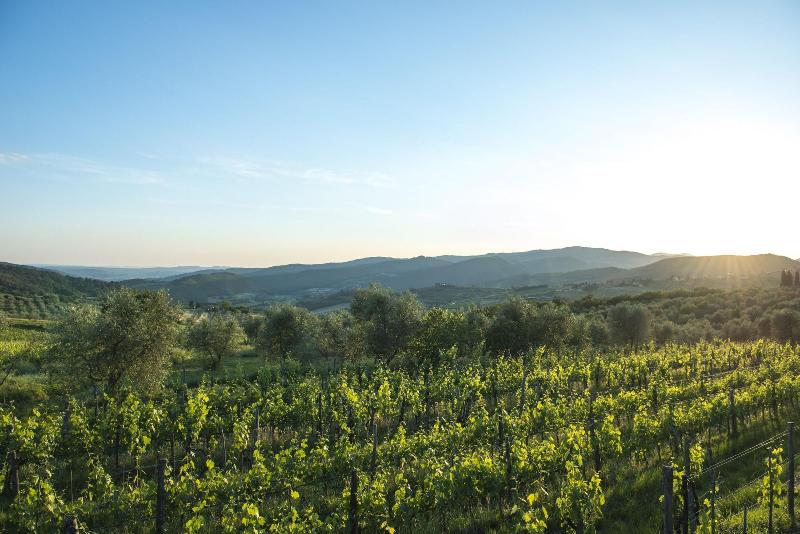 Agriturismo Fattoria Lavacchio - Genel