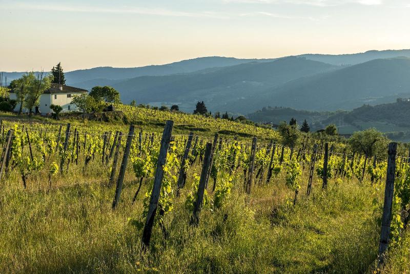 Agriturismo Fattoria Lavacchio - Genel