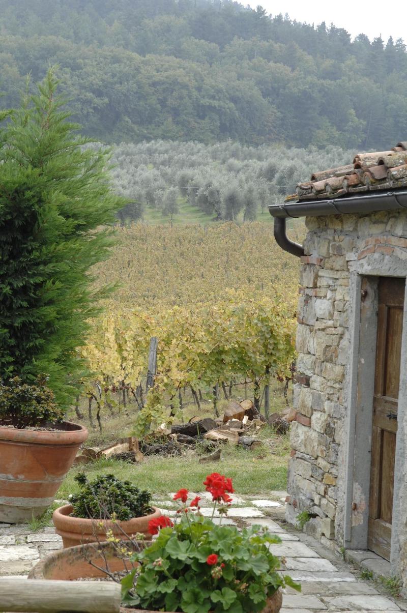 Agriturismo Fattoria Lavacchio - Genel