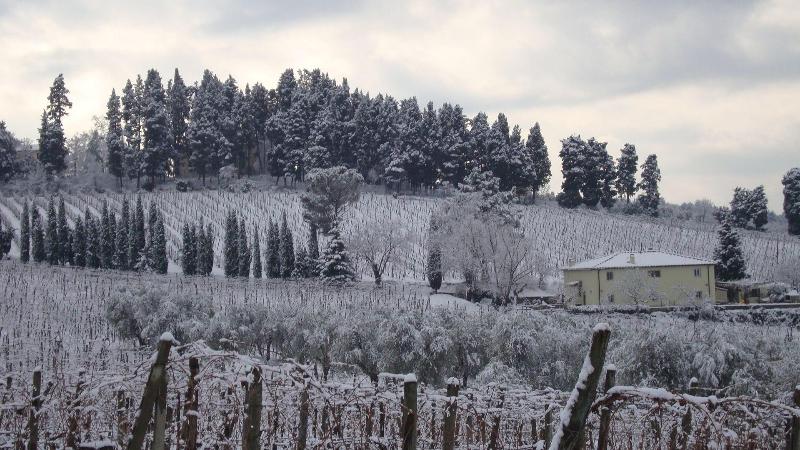 Agriturismo Fattoria Lavacchio - Genel
