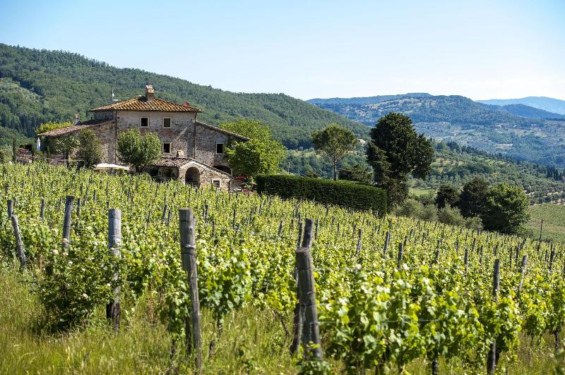 Agriturismo Fattoria Lavacchio - Genel