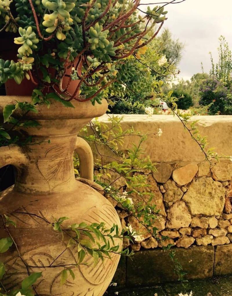 Agriturismo Masseria Costarella - Genel