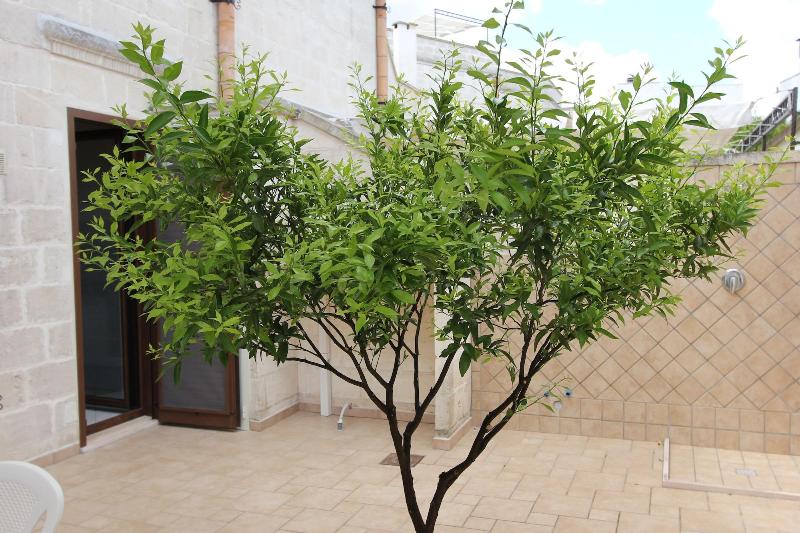 Residence Borgo Antico - Oda
