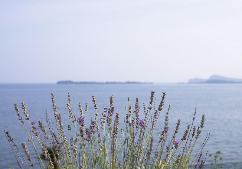 Hotel Villa Florida - Teras