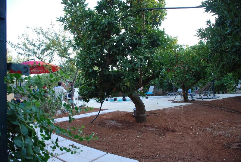 Villarancia â€“ Luxury B&B - Aktivite
