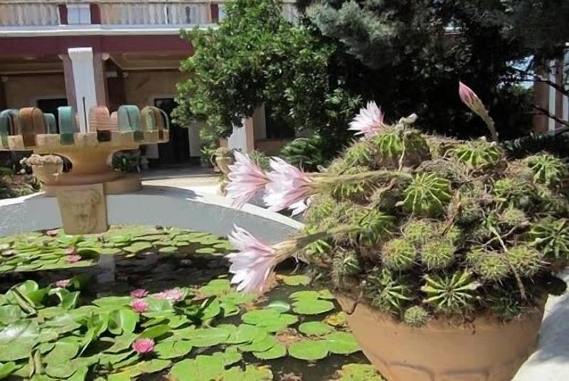 Villarancia â€“ Luxury B&B - Genel