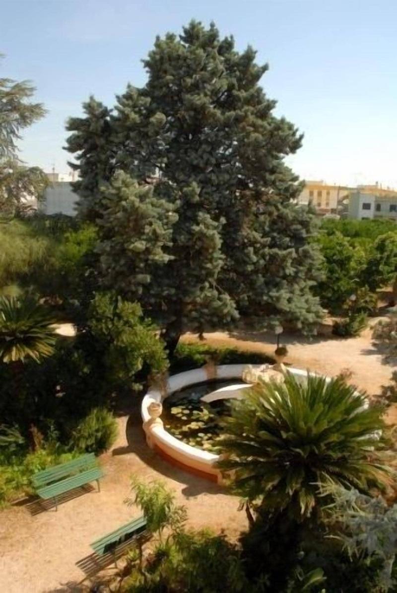 Villarancia â€“ Luxury B&B - Genel