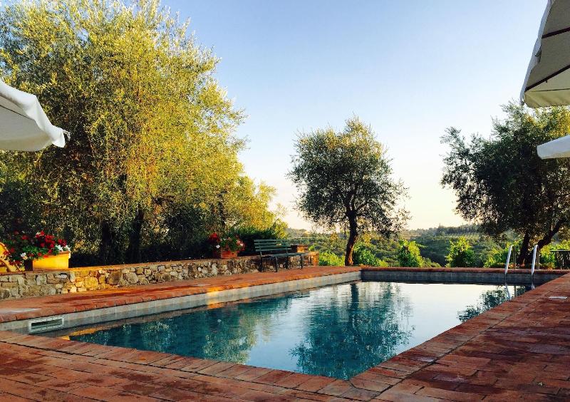 Tenuta di Monaciano - Aktivite