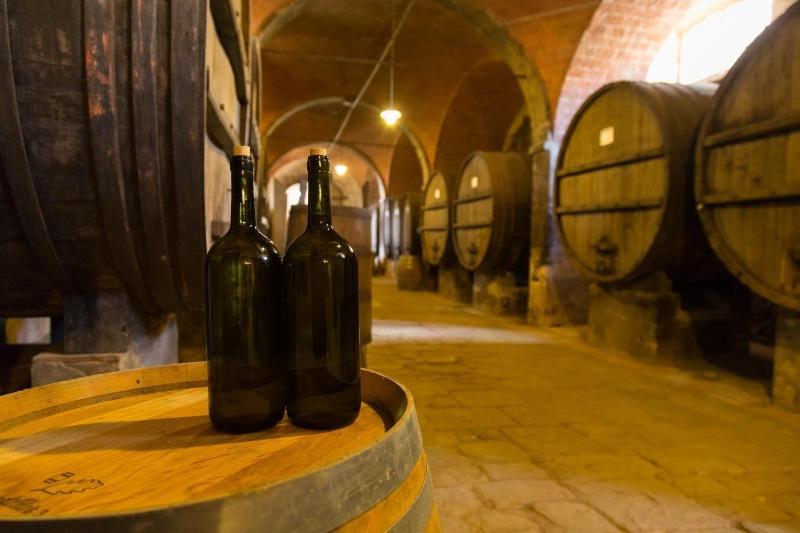 Tenuta di Monaciano - Aktivite