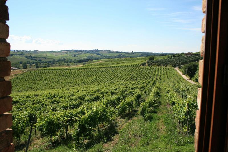 Tenuta di Monaciano - Genel