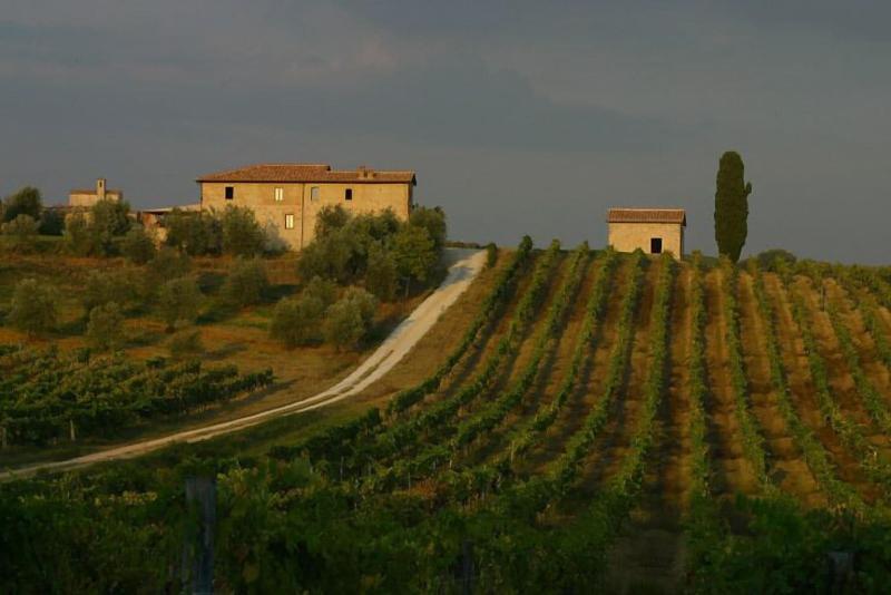 Tenuta di Monaciano - Genel