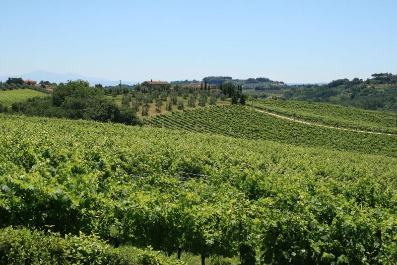Tenuta di Monaciano - Genel