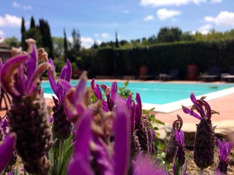 Agriturismo Cavalierino - Aktivite