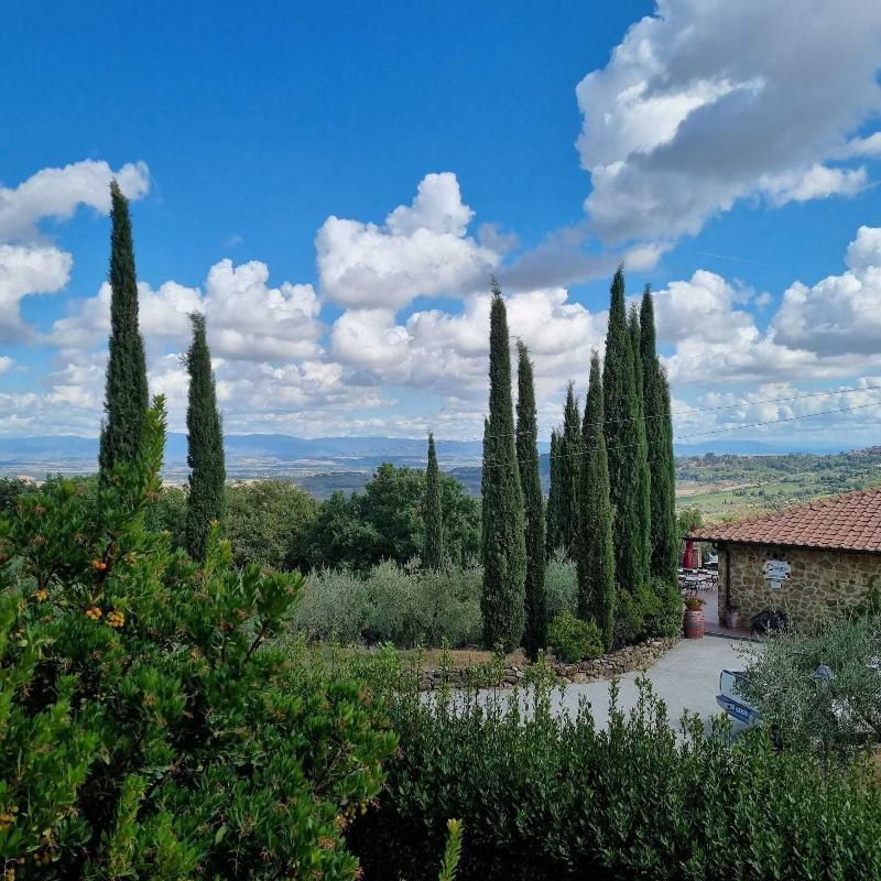 Agriturismo Cavalierino - Oda