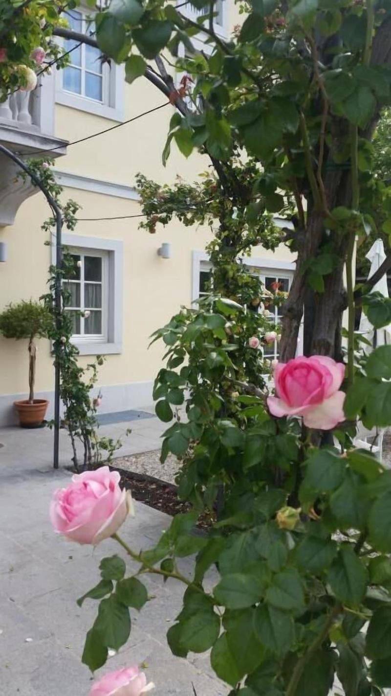 Hotel Eden - Genel