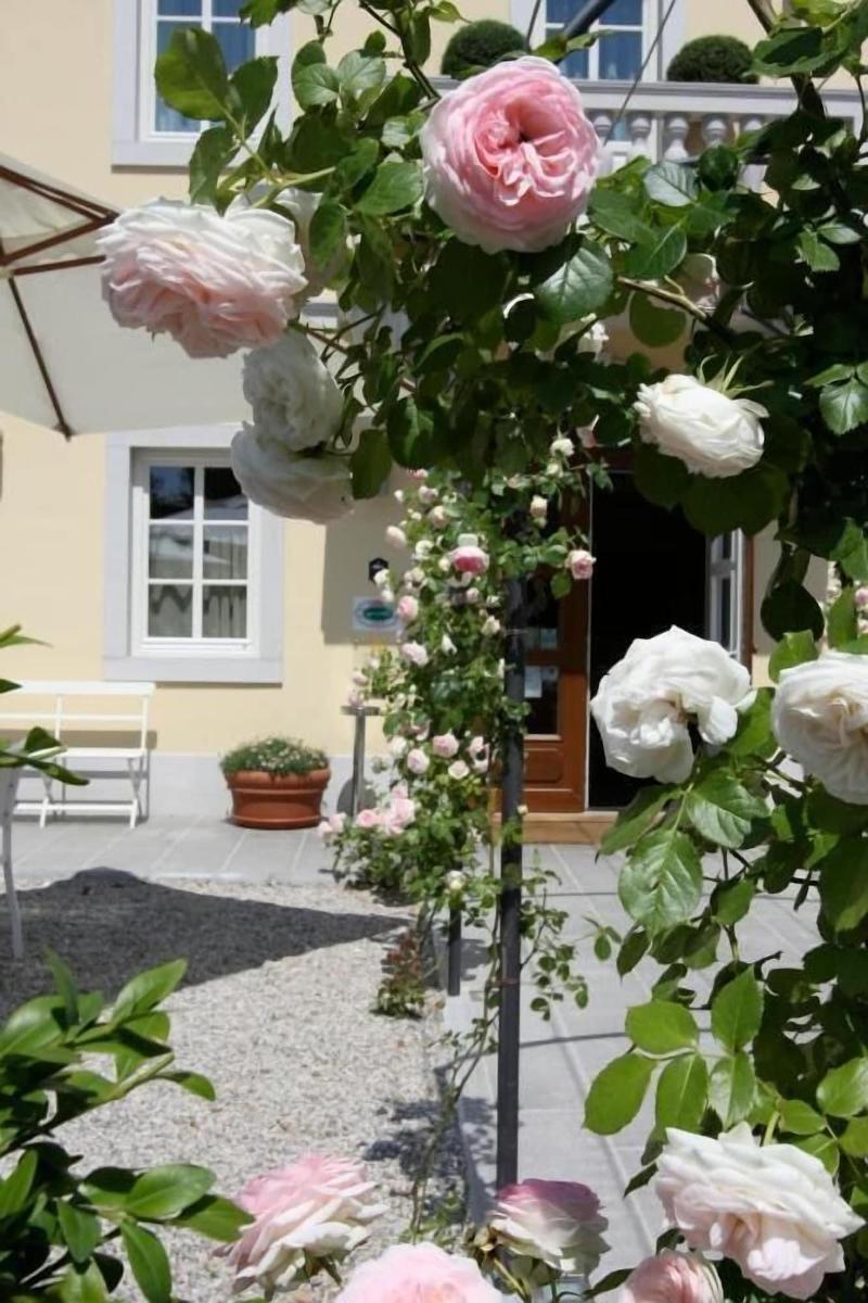 Hotel Eden - Genel
