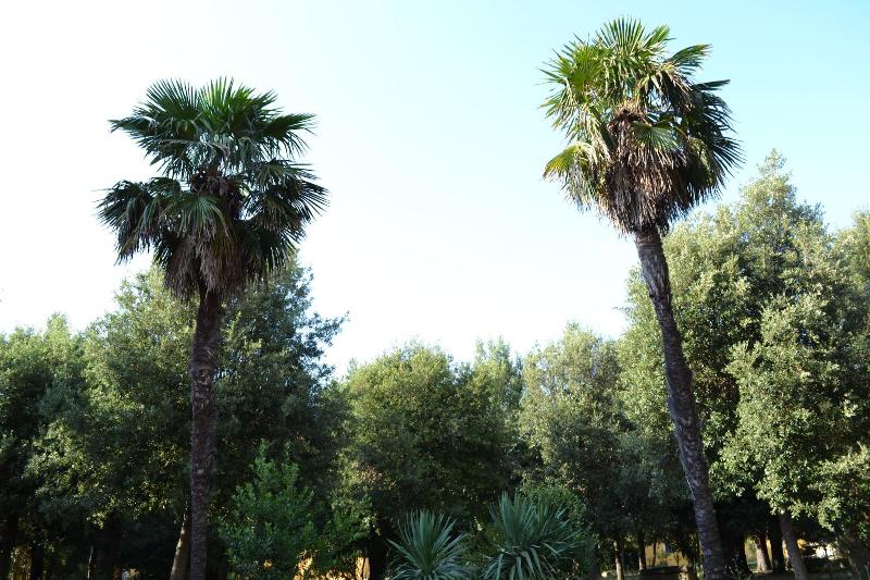 Villa Graziani - Genel