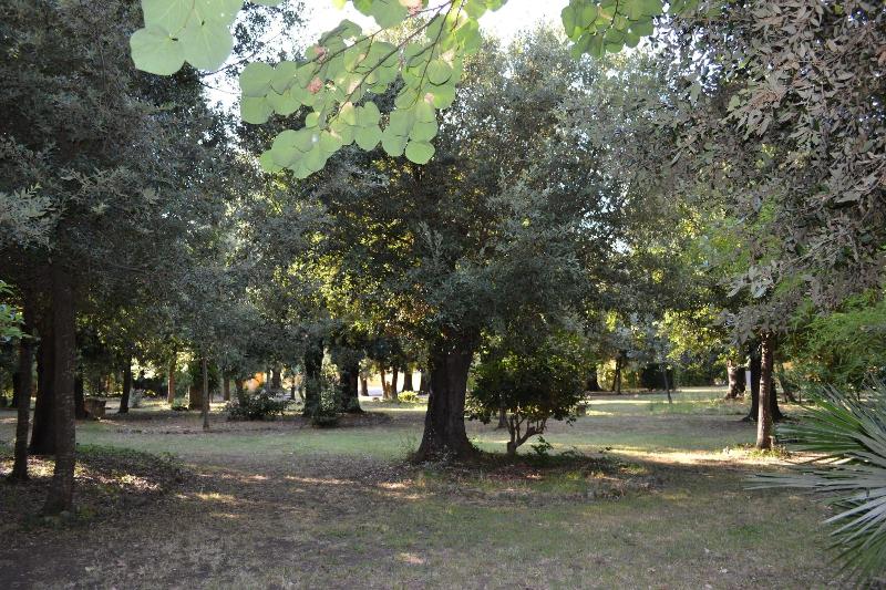 Villa Graziani - Genel
