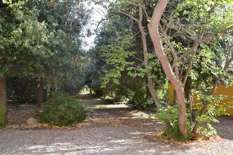 Villa Graziani - Genel