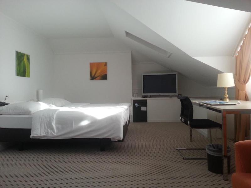 Hotel Schwanen - Oda
