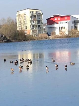 Seehotel Forst fotoÄŸrafÄ±