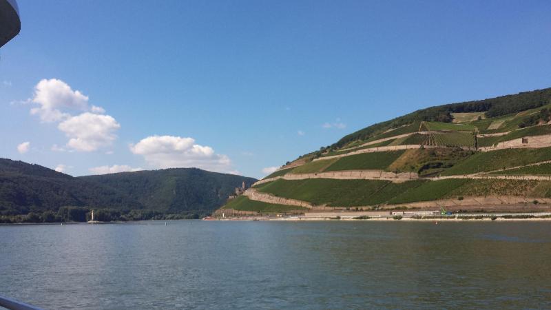 Hotel Krone RÃ¼desheim - Aktivite