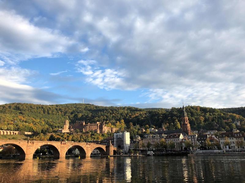 Boardinghotel Heidelberg - Aktivite