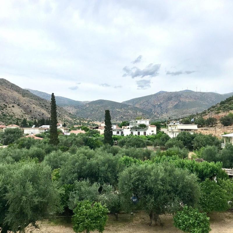 Paradisos Hotel - Genel