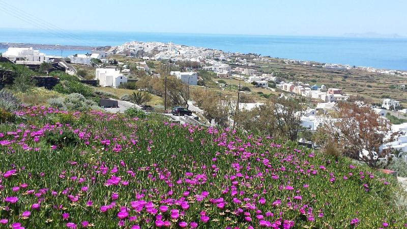 Alonistra Oia Houses - Genel