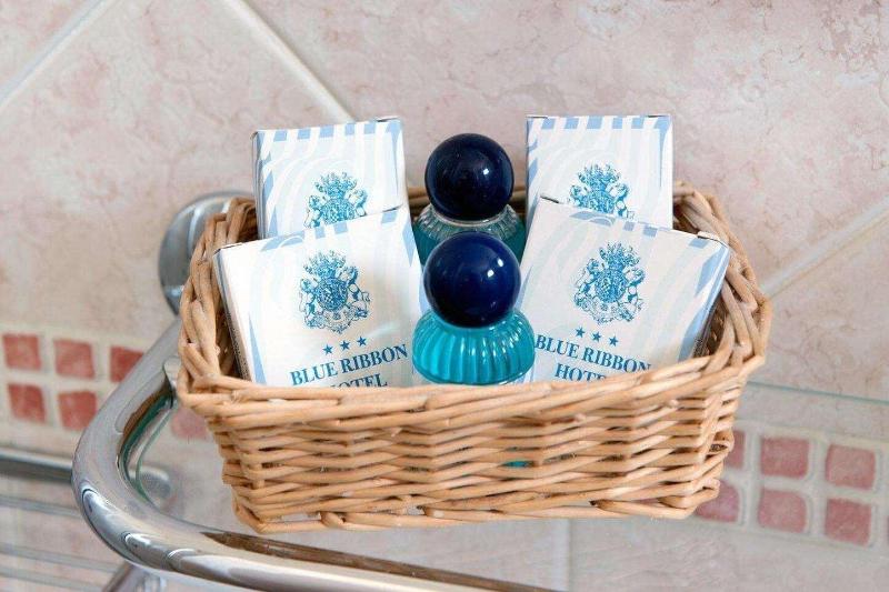 Hotel Blue Ribbon - Oda