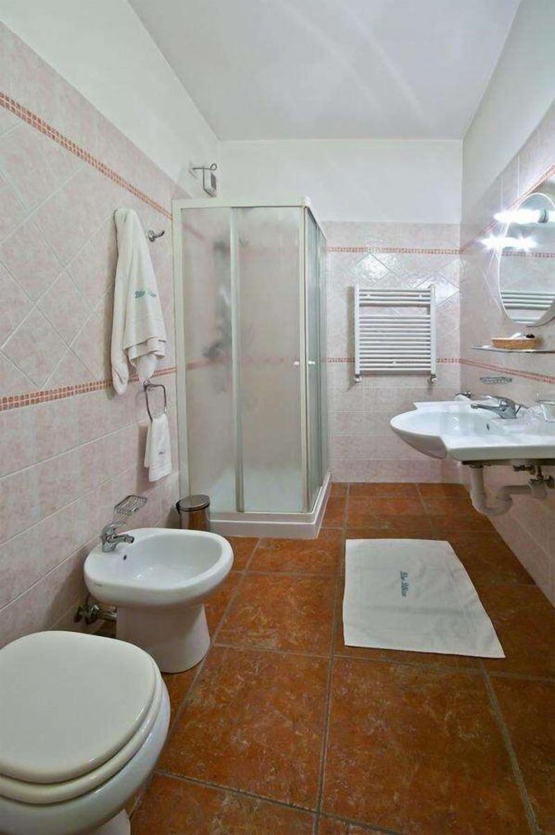 Hotel Blue Ribbon - Oda