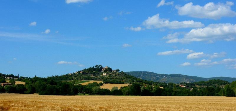 Borgo Mandoleto - Oda