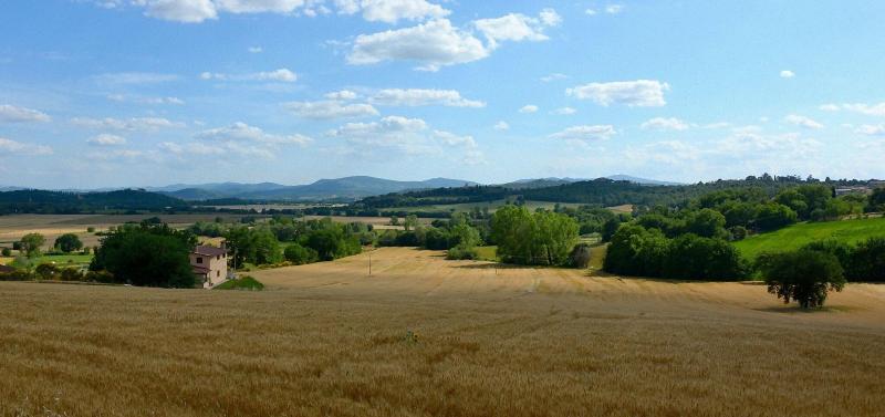 Borgo Mandoleto - Teras