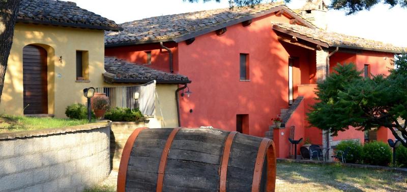 Borgo Mandoleto - Teras