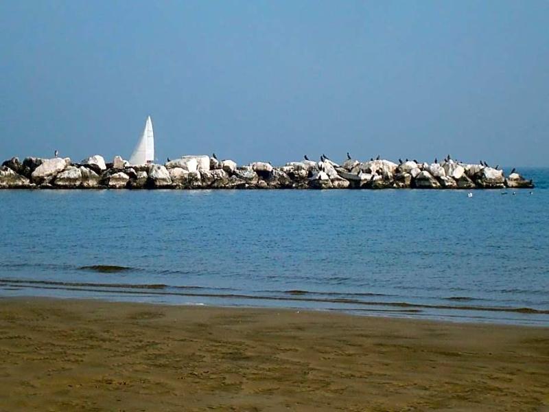 Hotel Villa Ersilia Rimini - Genel