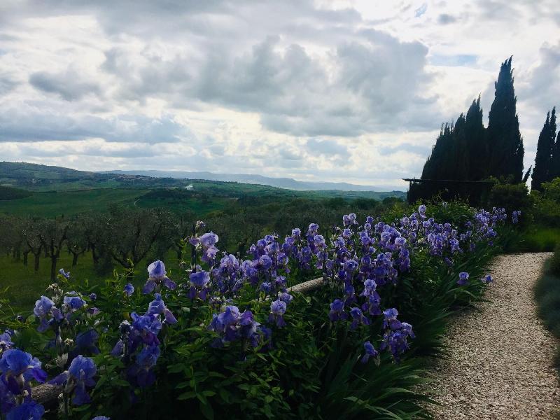 A440 in Tuscany - Genel