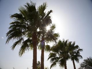 Coral Beach Resort Hurghada fotoÄŸrafÄ±