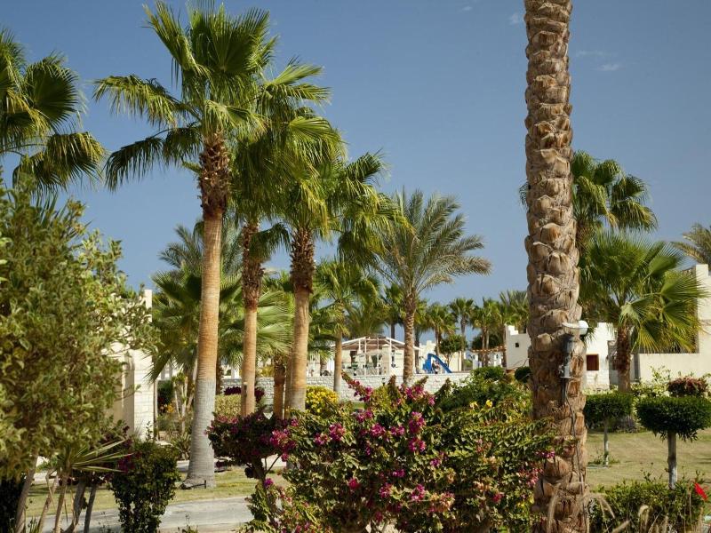 Coral Beach Resort Hurghada - Genel