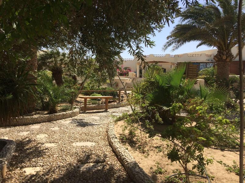 Coral Beach Resort Hurghada - Teras