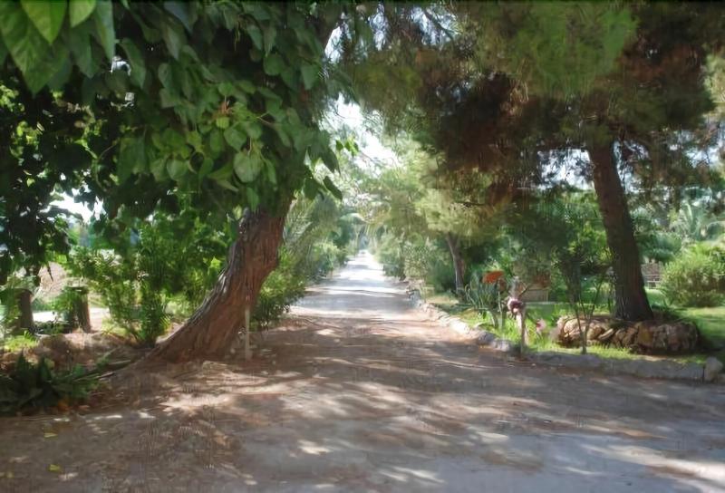 Agriturismo Terrauzza sul Mare - Genel