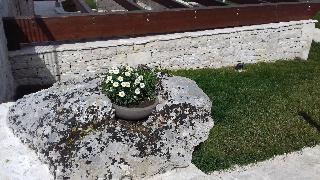 Agriturismo Nonna Rosa fotoÄŸrafÄ±