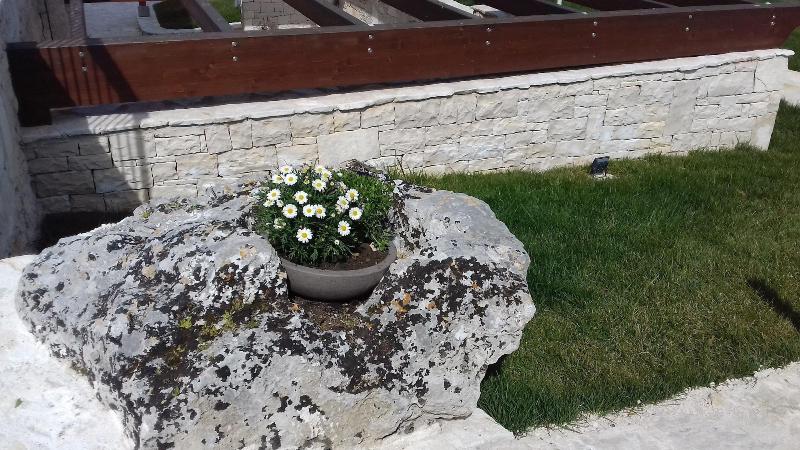 Agriturismo Nonna Rosa - Lobi