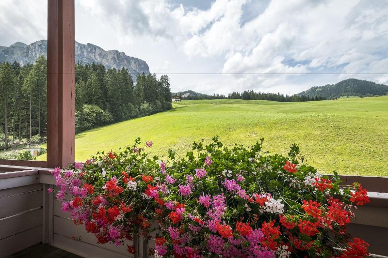 Hotel Serena - Genel