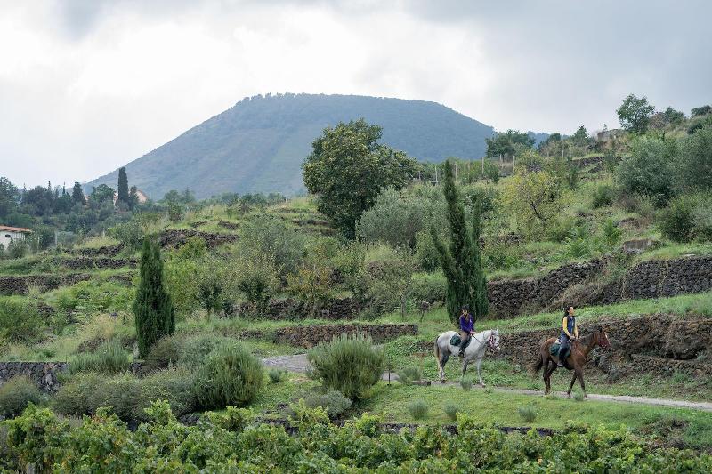 Monaci delle Terre Nere - Aktivite