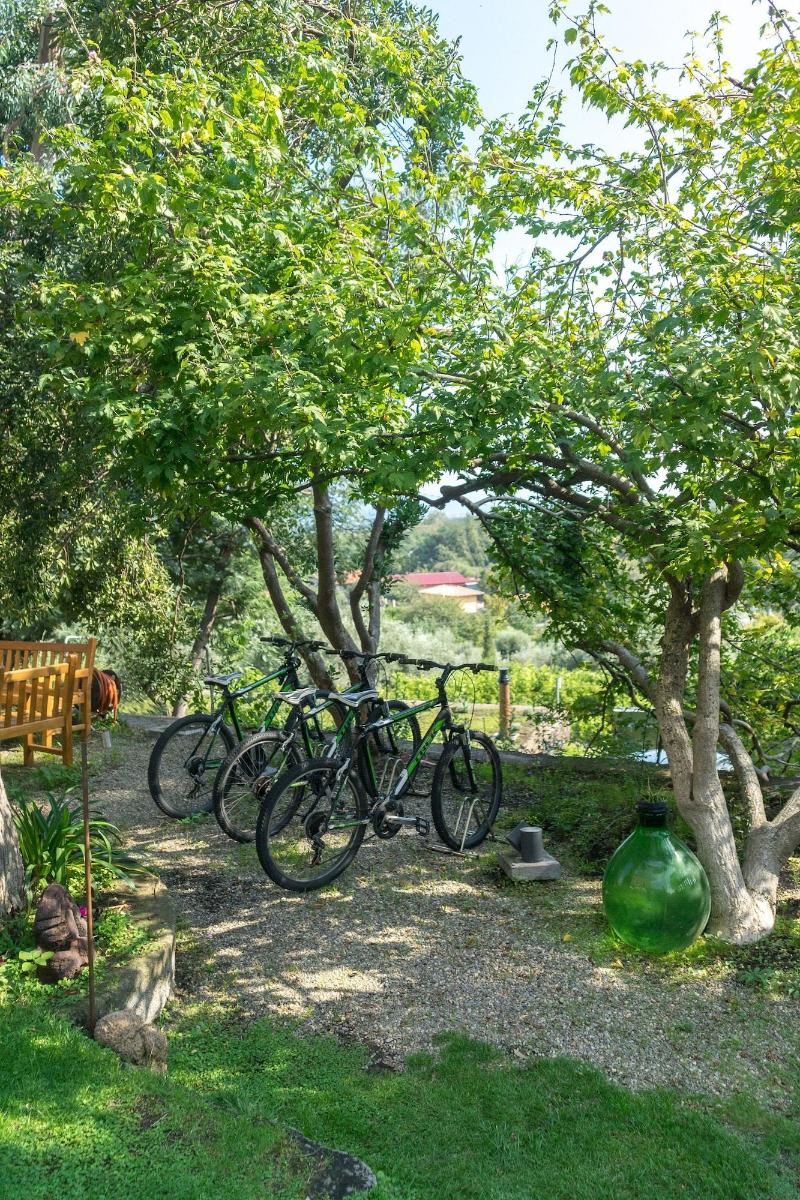 Monaci delle Terre Nere - Aktivite