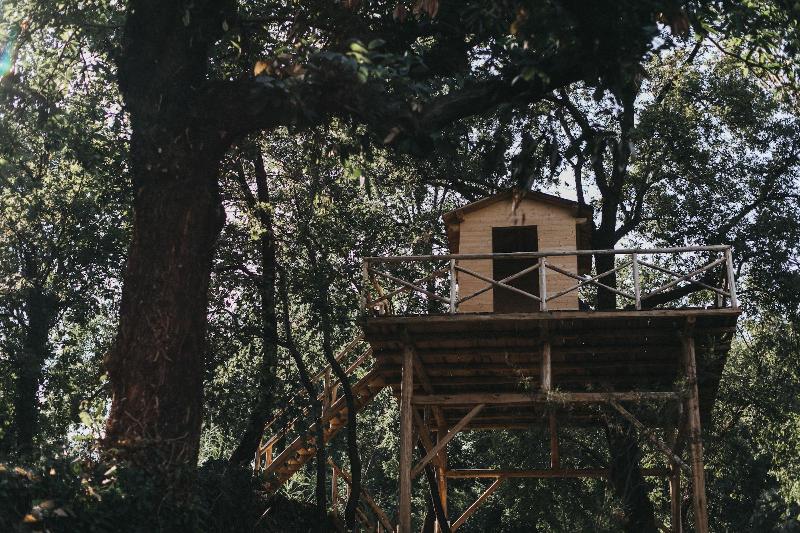 Monaci delle Terre Nere - Aktivite