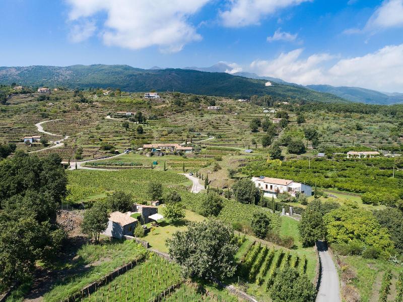 Monaci delle Terre Nere - Genel