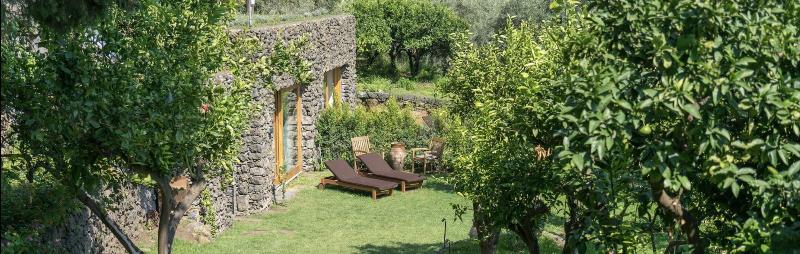 Monaci delle Terre Nere - Genel